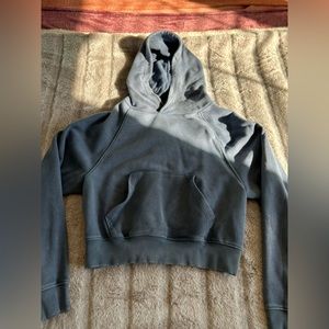 Aerie Cropped Hoodie (small)